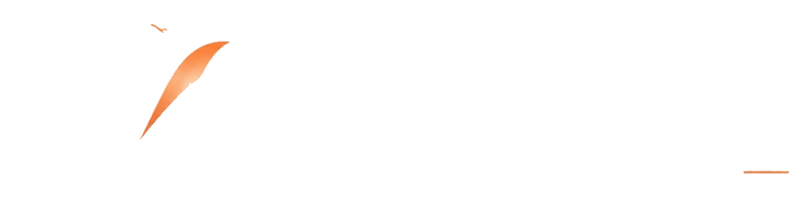 Vipercon Contabilidade para a Saúde